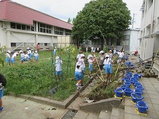 IMG_1668.jpg