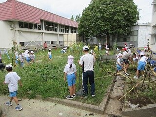 IMG_1669.jpg