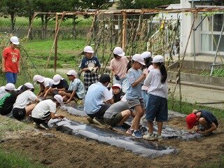 IMG_1679.jpg