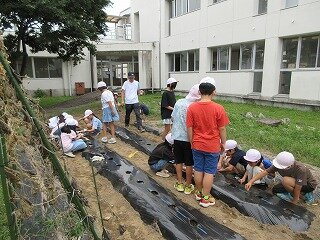 IMG_1682.jpg
