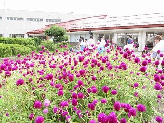 IMG_1854.jpg