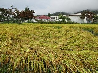 IMG_1861.jpg