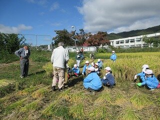 IMG_1886.jpg
