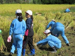 IMG_1895.jpg