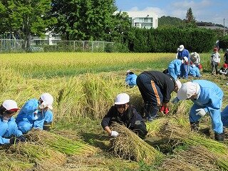IMG_1903.jpg
