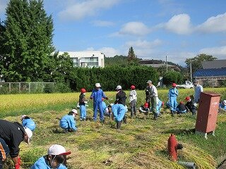 IMG_1905.jpg