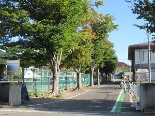 IMG_1914.jpg