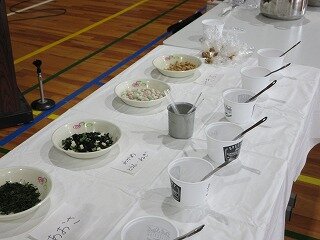 IMG_2095.jpg
