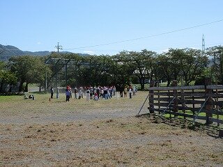 IMG_2126.jpg