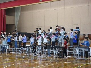 IMG_2151.jpg