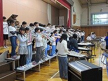 IMG_2203.jpg