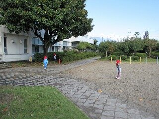 IMG_2220.jpg