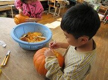 IMG_2228.jpg
