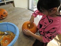 IMG_2229.jpg