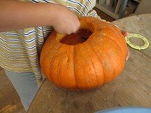 IMG_2231.jpg