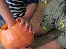 IMG_2280.jpg
