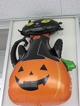 IMG_2331.jpg