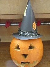IMG_2336.jpg