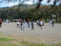 IMG_2426.jpg