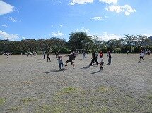 IMG_2430.jpg