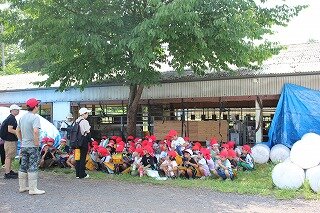 IMG_6653.jpg