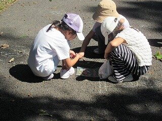 IMG_7458.jpg