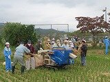 IMG_7919.jpg