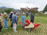 IMG_7920.jpg