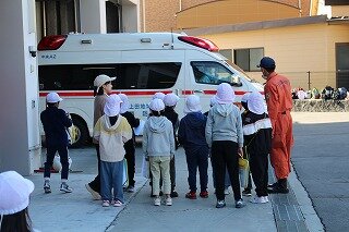 IMG_8816.jpg