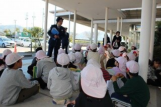IMG_8955.jpg