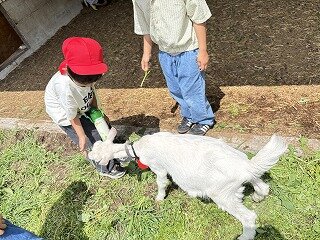 IMG_9843.jpg
