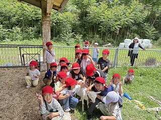 IMG_9852.jpg