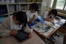 P1040580.jpg