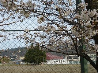 P1250636.jpg