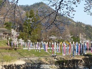 P1250716.jpg