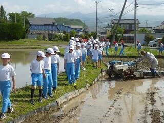 P1260086.jpg