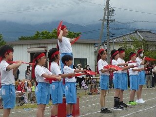 P1260353.jpg