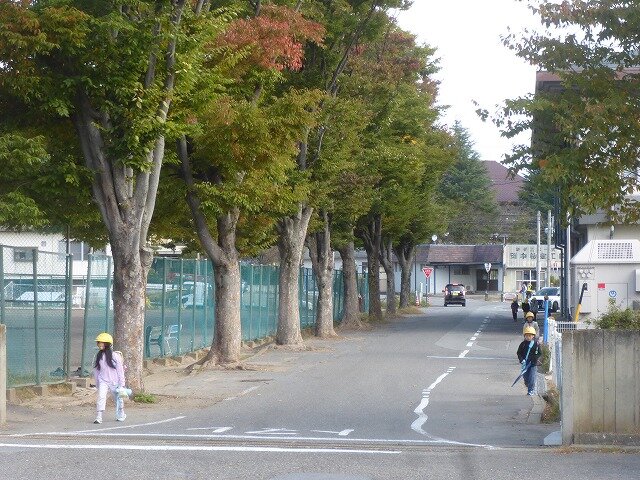 P1280808.jpg