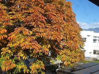 P1280941.jpg