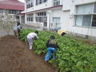 P1290038.jpg