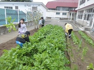 P1290039.jpg