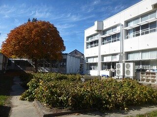 P1290051.jpg