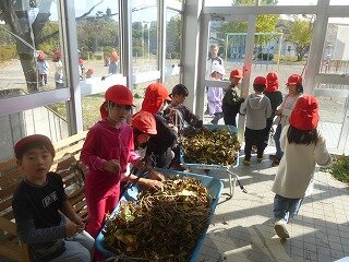 P1290110.jpg