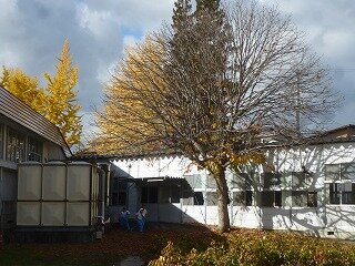 P1290384.jpg