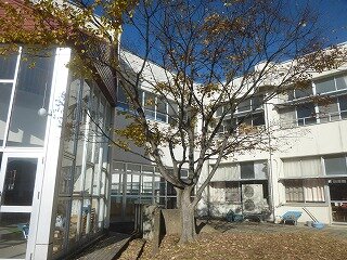 P1290408.jpg