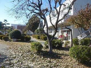 P1290422.jpg