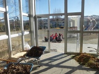 P1290431.jpg