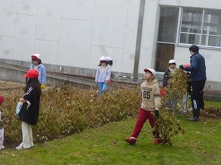 P1290587.jpg
