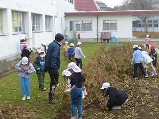 P1290591.jpg