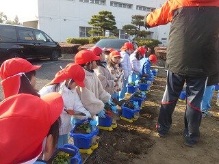P1300012.jpg
